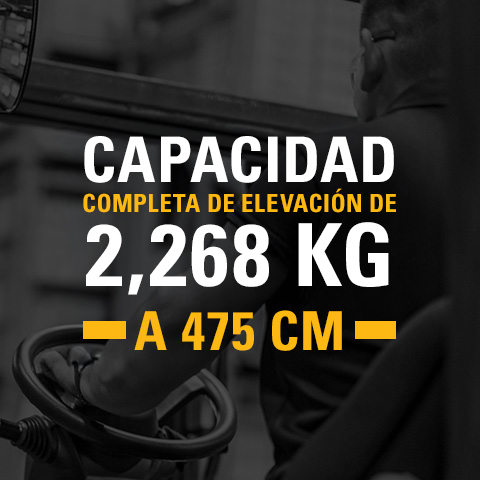 	MLA-0107-Evolt-Cushion-CAT-LP-Image02-480x480Spanish