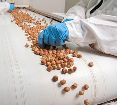 Rocla AGV at Seeberger factory