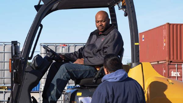 cat-about-experience