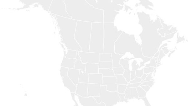 localsupport_cat_photo