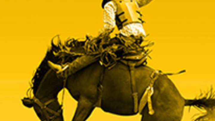 large rodeo